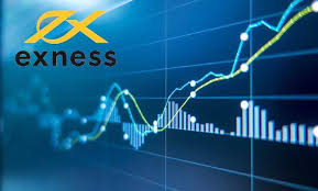 Exploring Exness Regional Office A Guide for Traders